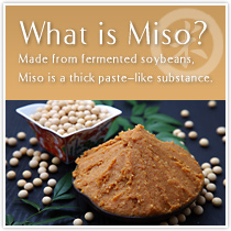What is Miso?