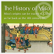 The History of Miso