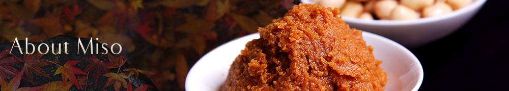 About Miso