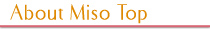 About Miso Top