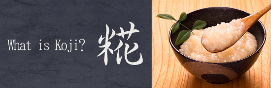 What is Koji?