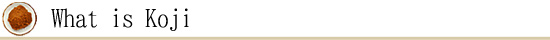 What is Koji?