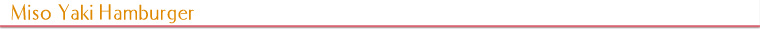 Miso Yaki Hamburger
